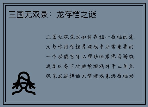 三国无双录：龙存档之谜